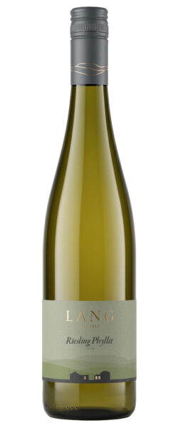 2025 Riesling Phyllit trocken