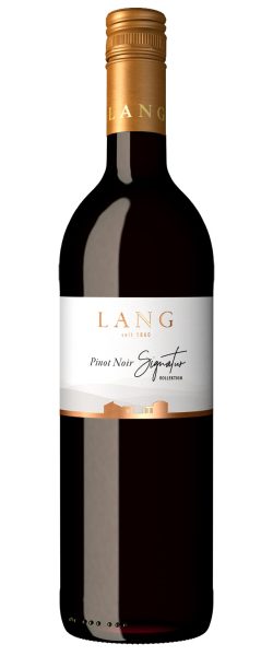2020 Pinot Noir Signatur Kollektion trocken