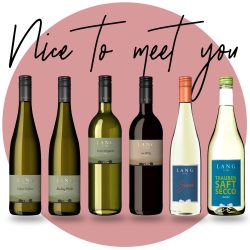 Probierpaket "Nice to meet you"